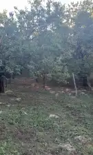 Komárom-Esztergom megye - Tata