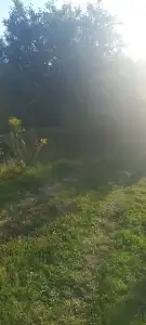Komárom-Esztergom megye - Tata