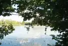 Pest megye - Tököl