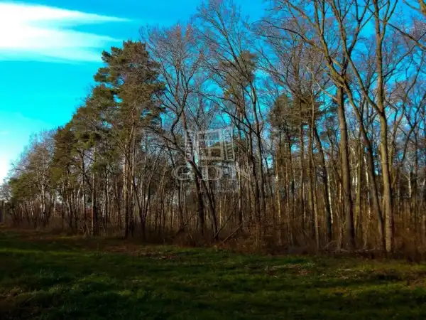 Eladó Üdülő, Tököl 825 m² 5.8 M Ft