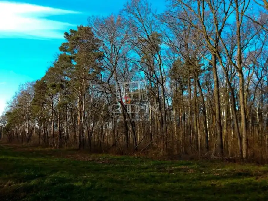 eladó  Üdülő, Tököl