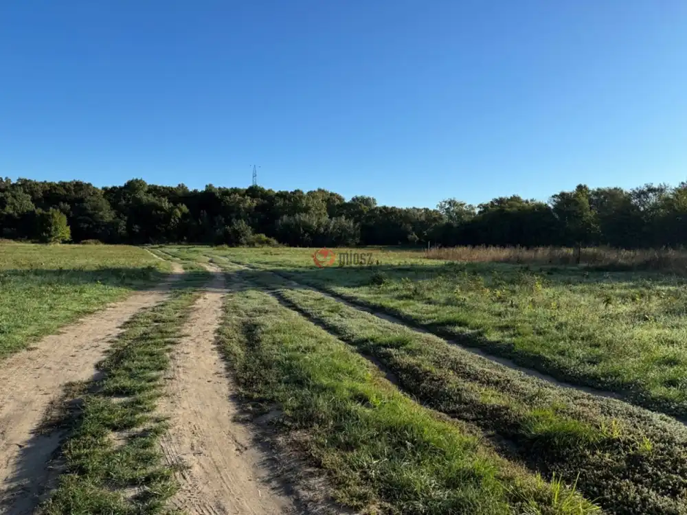 Pest megye - Tököl