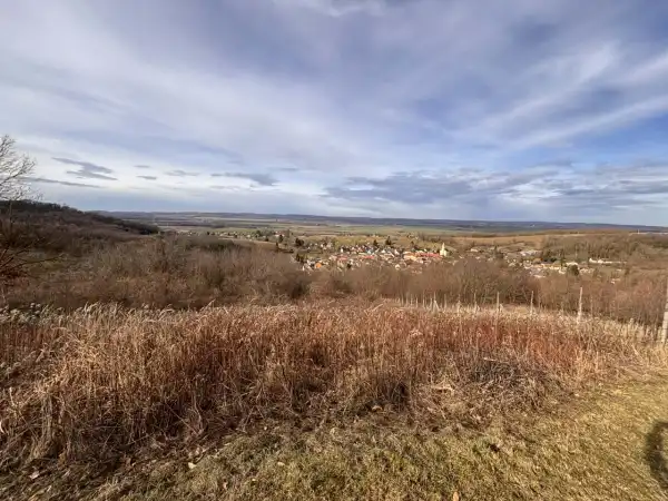 Eladó Üdülő, Újudvar 1041 m² 2.9 M Ft