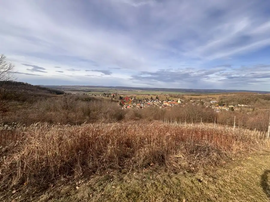 eladó  Üdülő, Újudvar