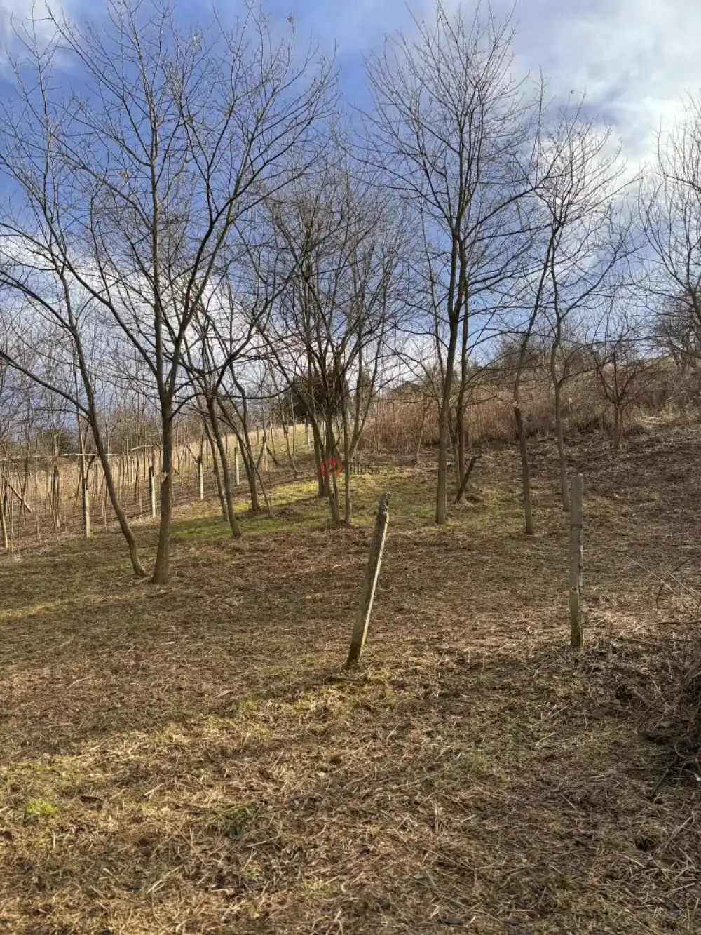 Zala megye - Újudvar