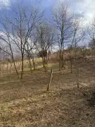 Zala megye - Újudvar