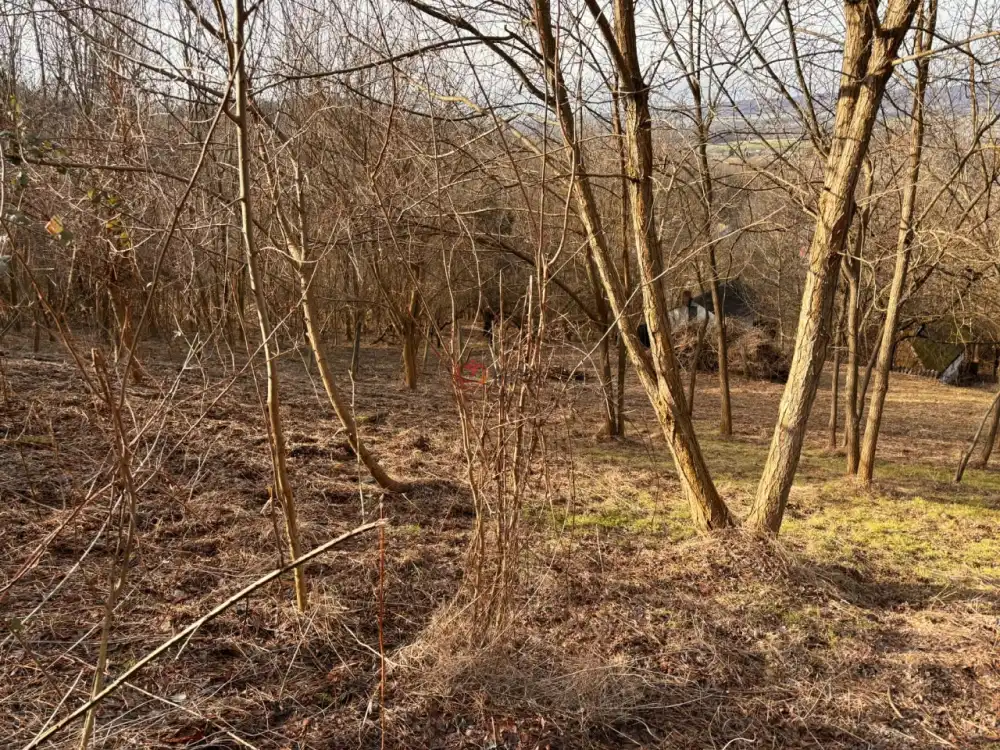 Zala megye - Újudvar