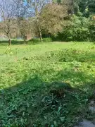 Zala megye - Zalaegerszeg
