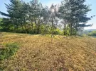 Zala megye - Zalaegerszeg