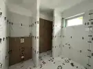 Pest megye - Gomba
