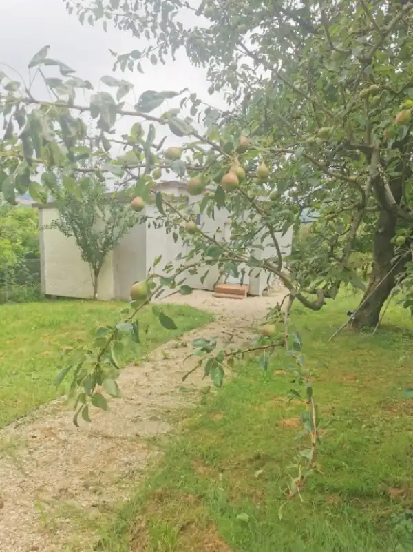 Eladó új építésű családi ház, Lakhegy 1+1 szoba 60 m² 19.9 M Ft