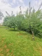 Zala megye - Lakhegy