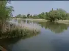 Pest megye - Szigetszentmiklós