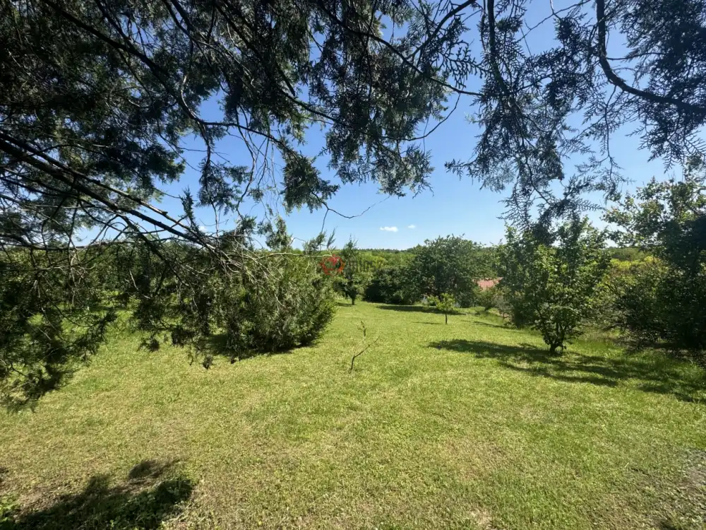 Baranya megye - Bár