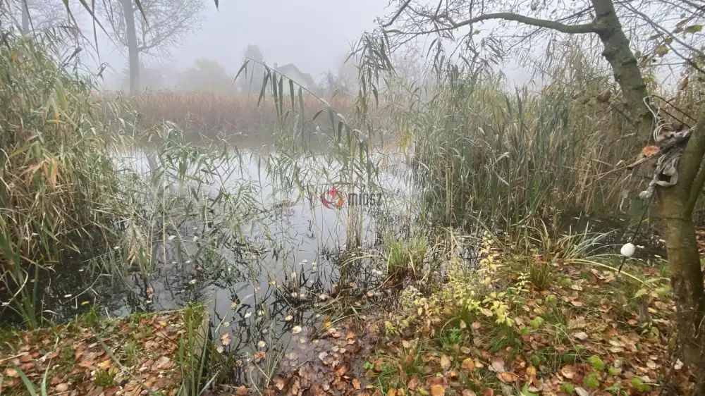 Pest megye - Dömsöd