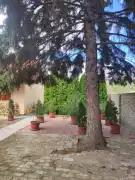 Baranya megye - Mohács