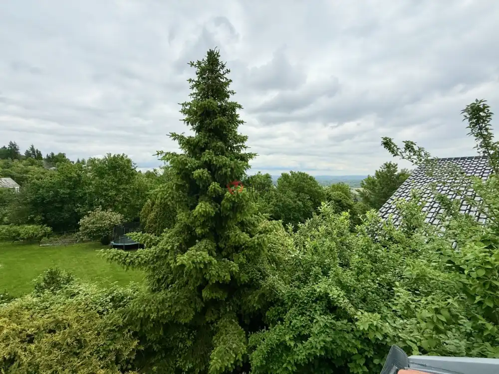 Pest megye - Szentendre