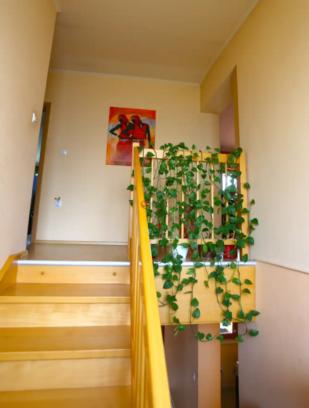 Pest megye - Tárnok