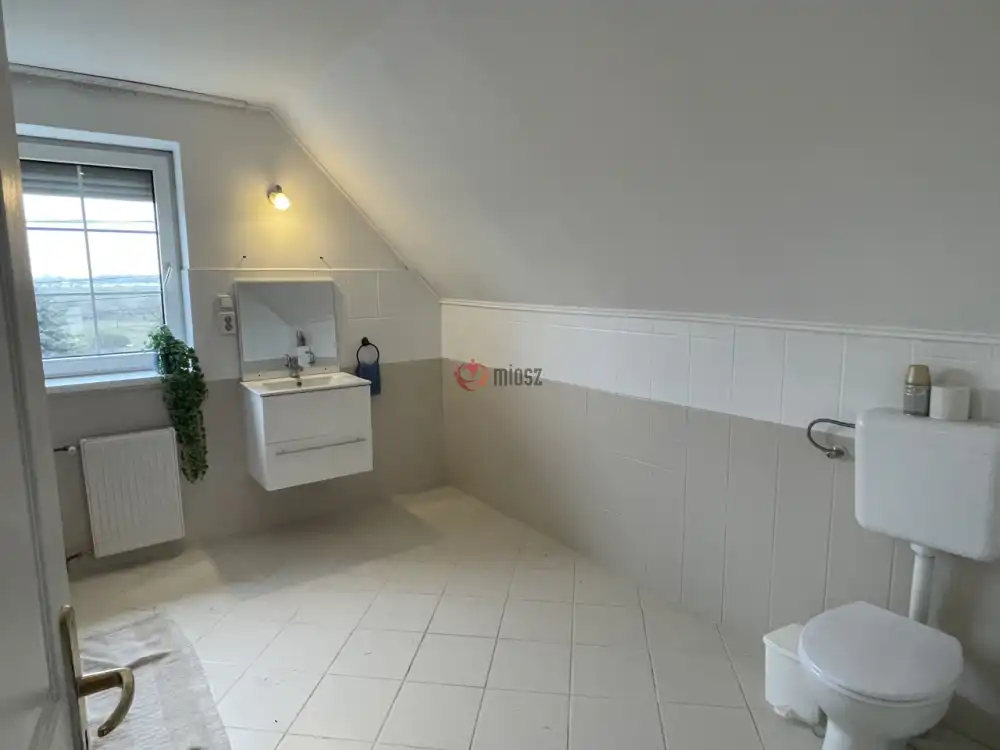 Csongrád megye - Zsombó