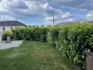 Pest megye - Páty