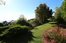 Fejér megye - Velence