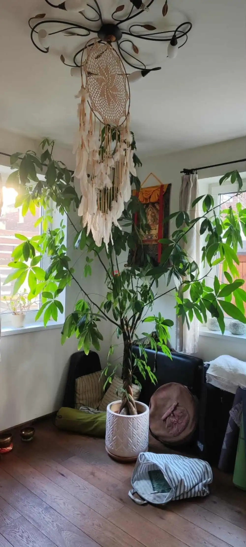 Pest megye - Gödöllő