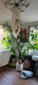 Pest megye - Gödöllő