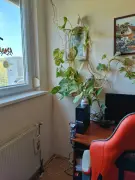 Borsod-Abaúj-Zemplén megye - Miskolc