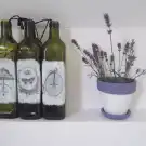 Somogy megye - Balatonszabadi