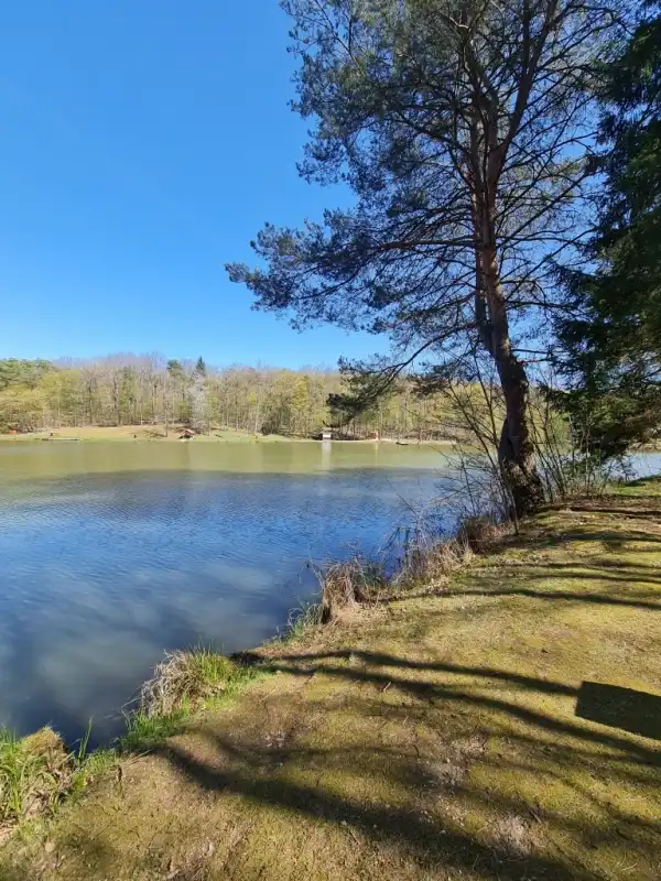 Eladó vendéglátás, Hegyhátszentjakab 922 m² 320 M Ft