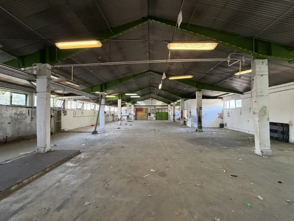 Pest megye - Vác